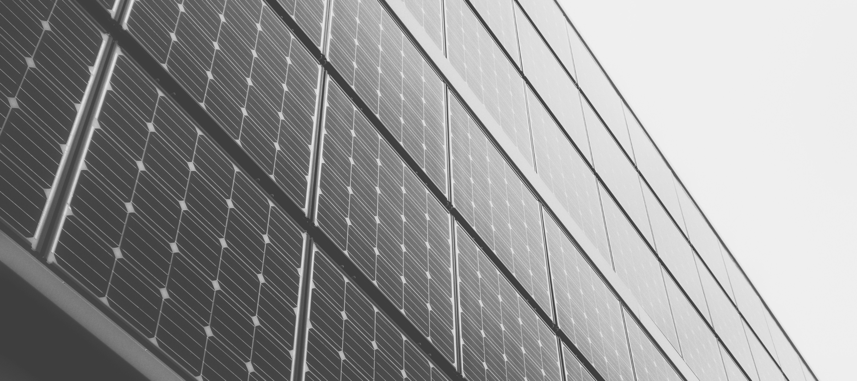 EDP CRO case study with Wise Pirates