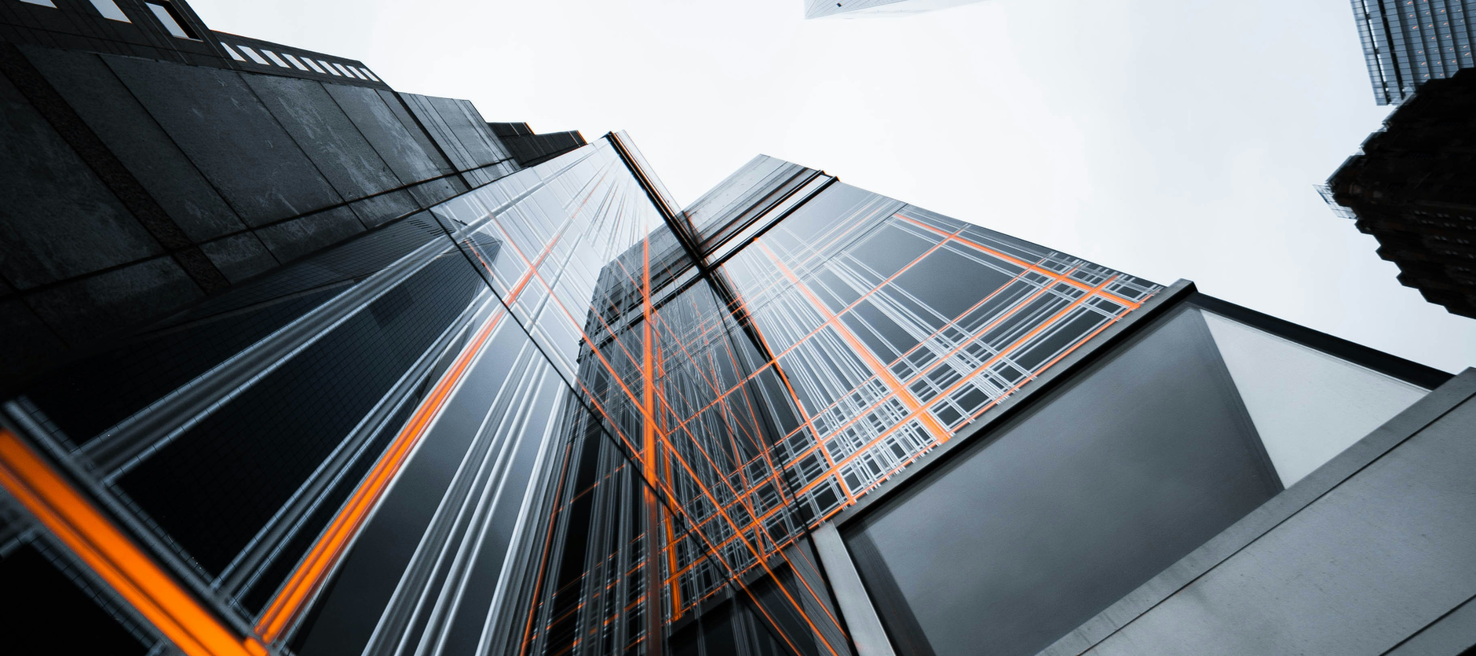 Building from down perspective